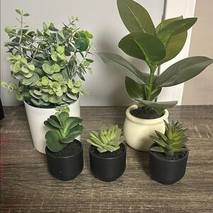 Artificial Succulent and Plant Set in Black and White Pots